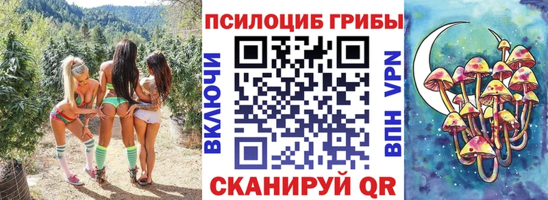 Купить закладки  Северобайкальск  Галлюциногенные грибы Cubensis 